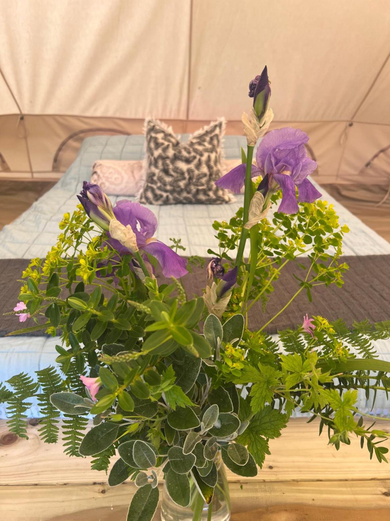 Bluebell Tent At Ballyward Croft Ardkeen Extérieur photo